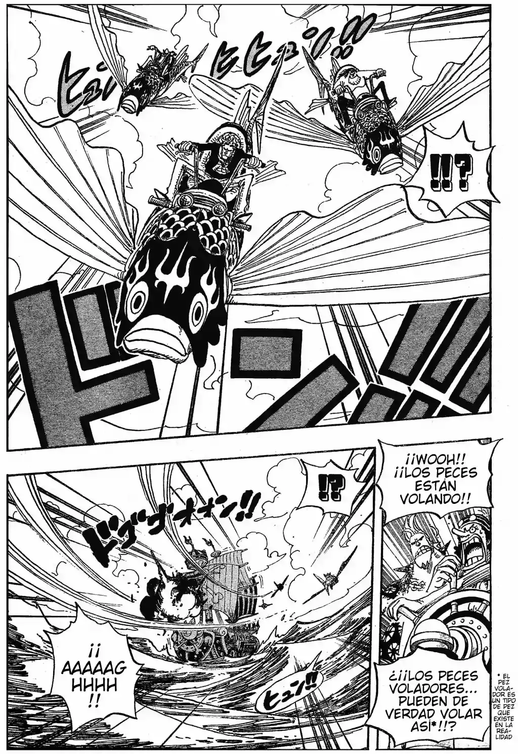 One Piece capítulo 491 página 17
