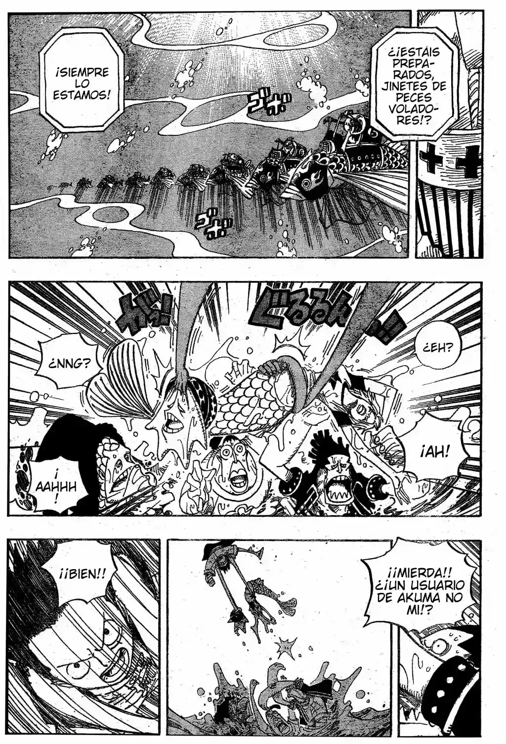 One Piece capítulo 492 página 17
