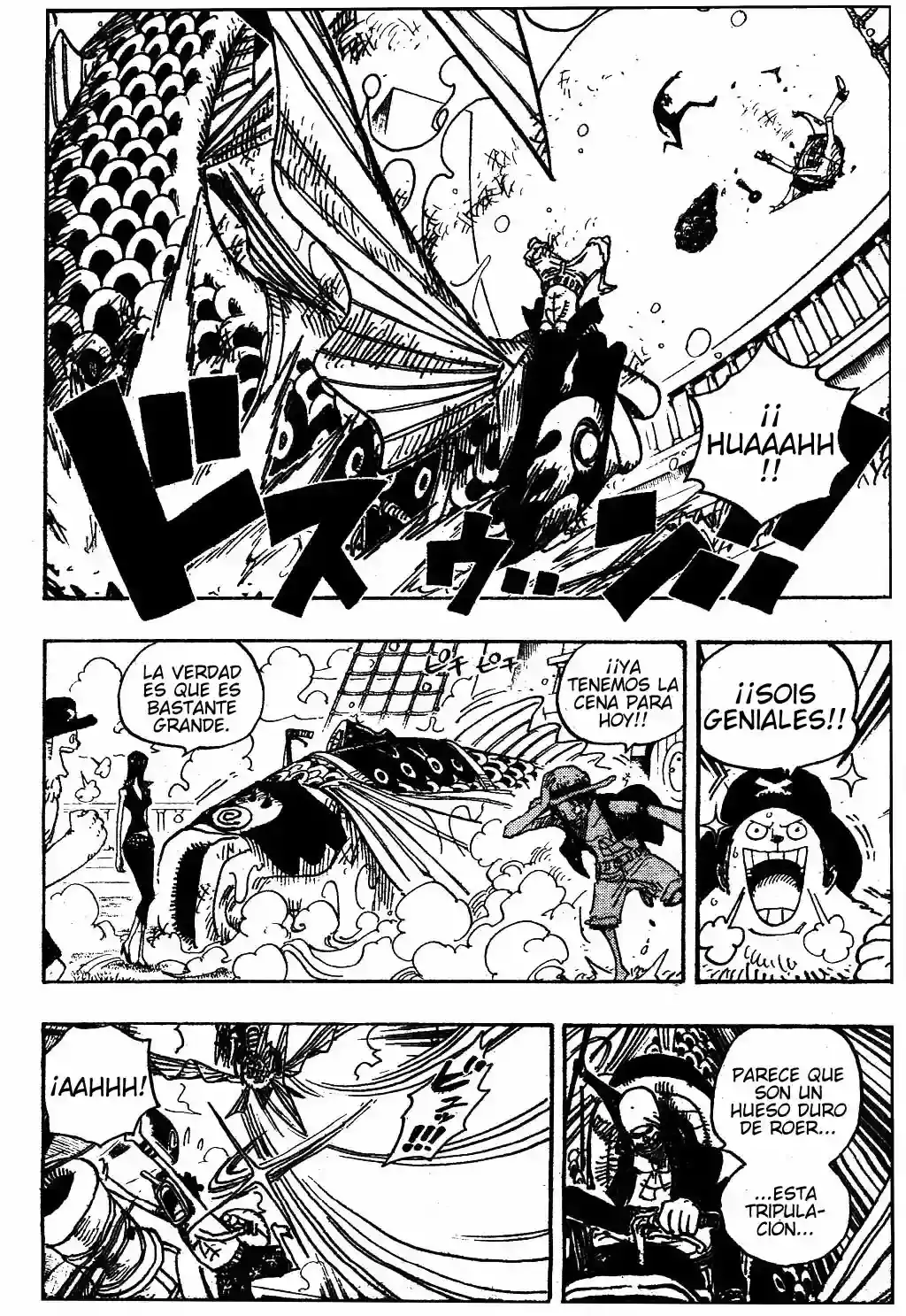 One Piece capítulo 493 página 14