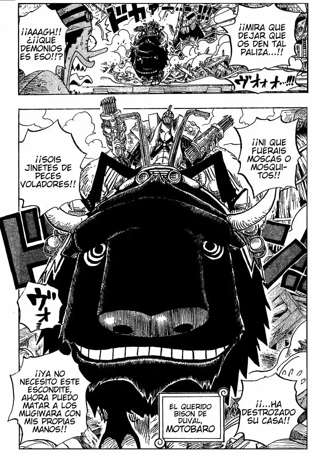 One Piece capítulo 494 página 10
