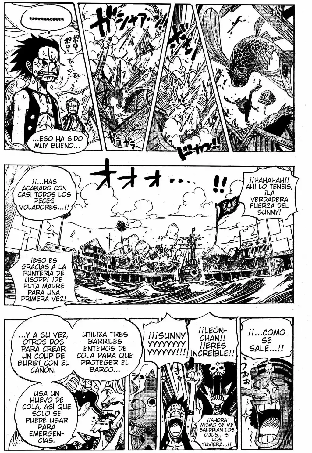 One Piece capítulo 495 página 13