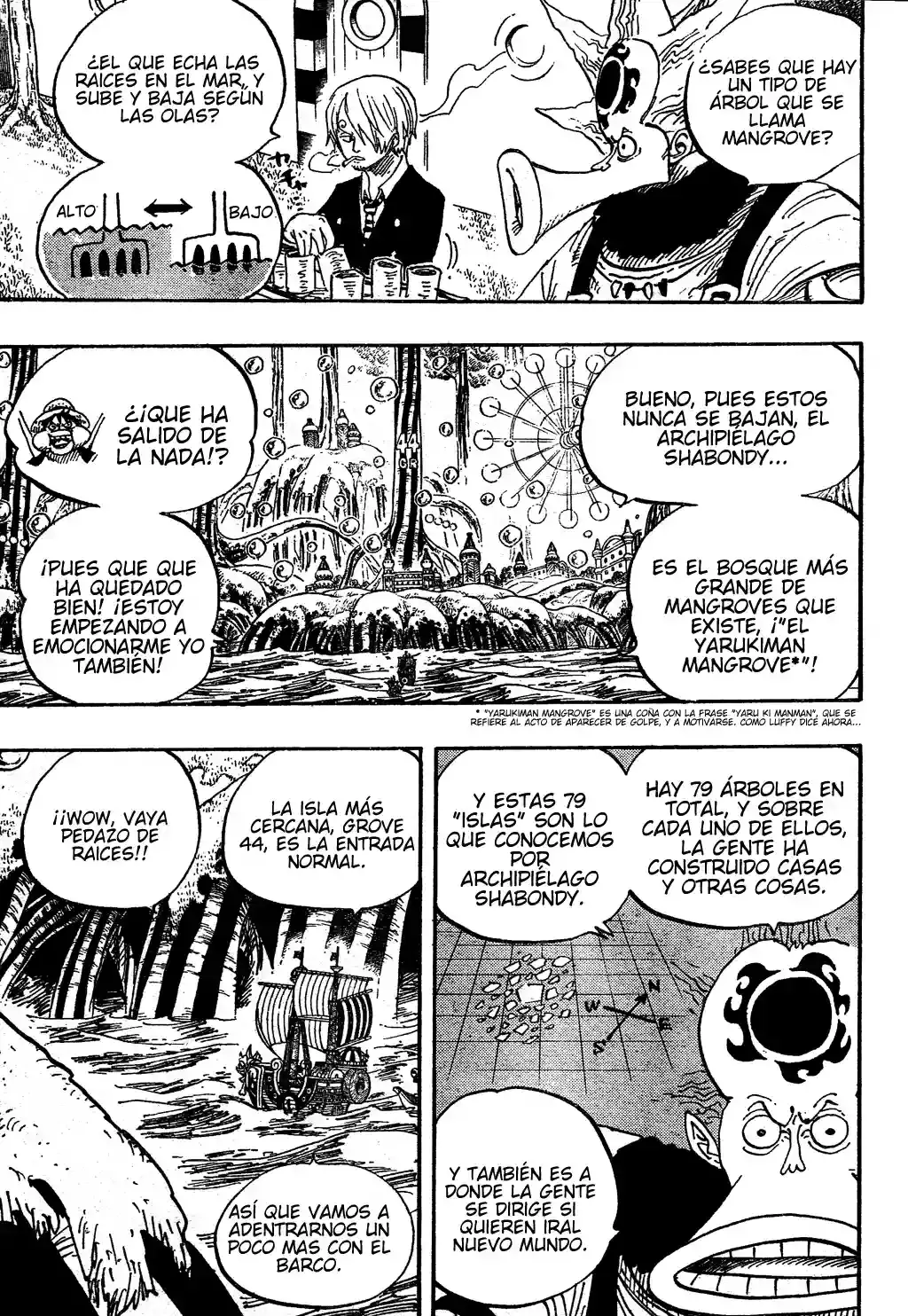 One Piece capítulo 496 página 14