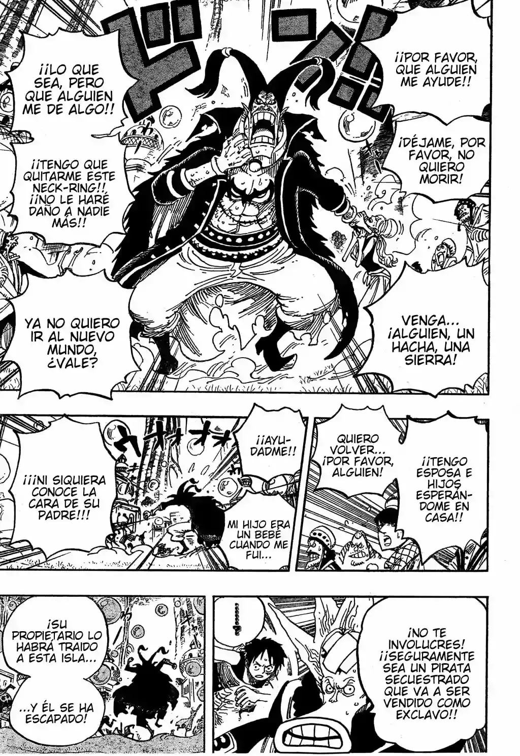 One Piece capítulo 497 página 13