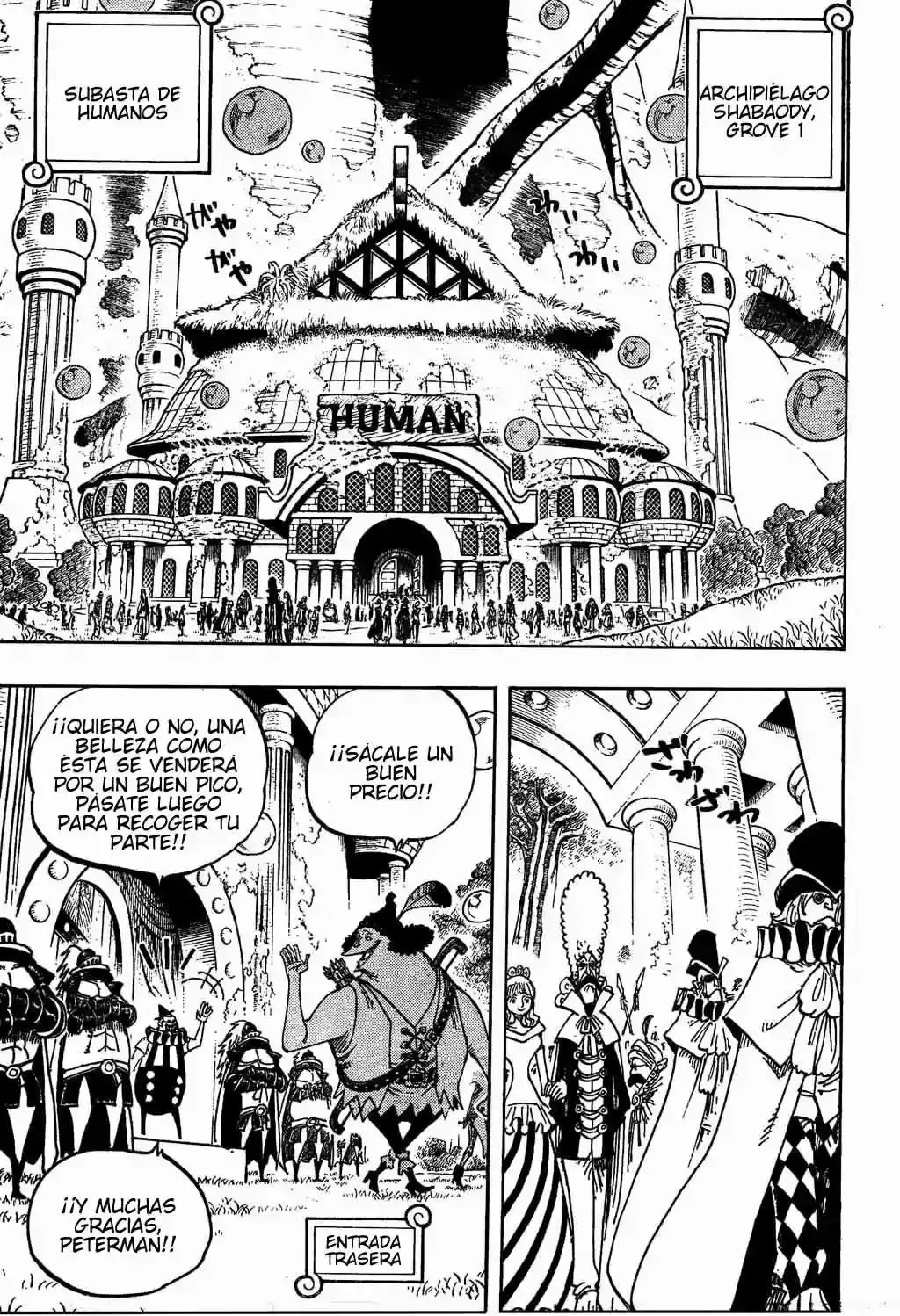 One Piece capítulo 500 página 13