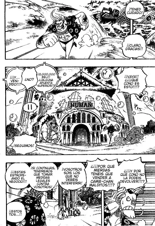 One Piece capítulo 501 página 11