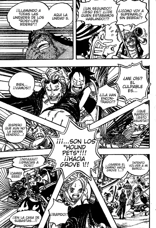 One Piece capítulo 501 página 8
