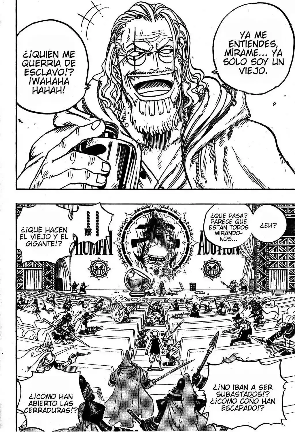 One Piece capítulo 503 página 15