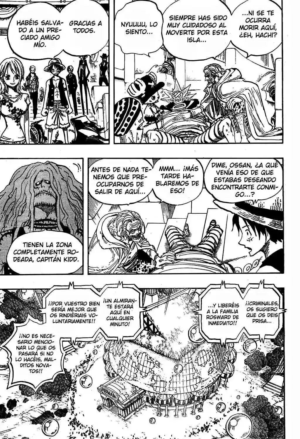 One Piece capítulo 504 página 13