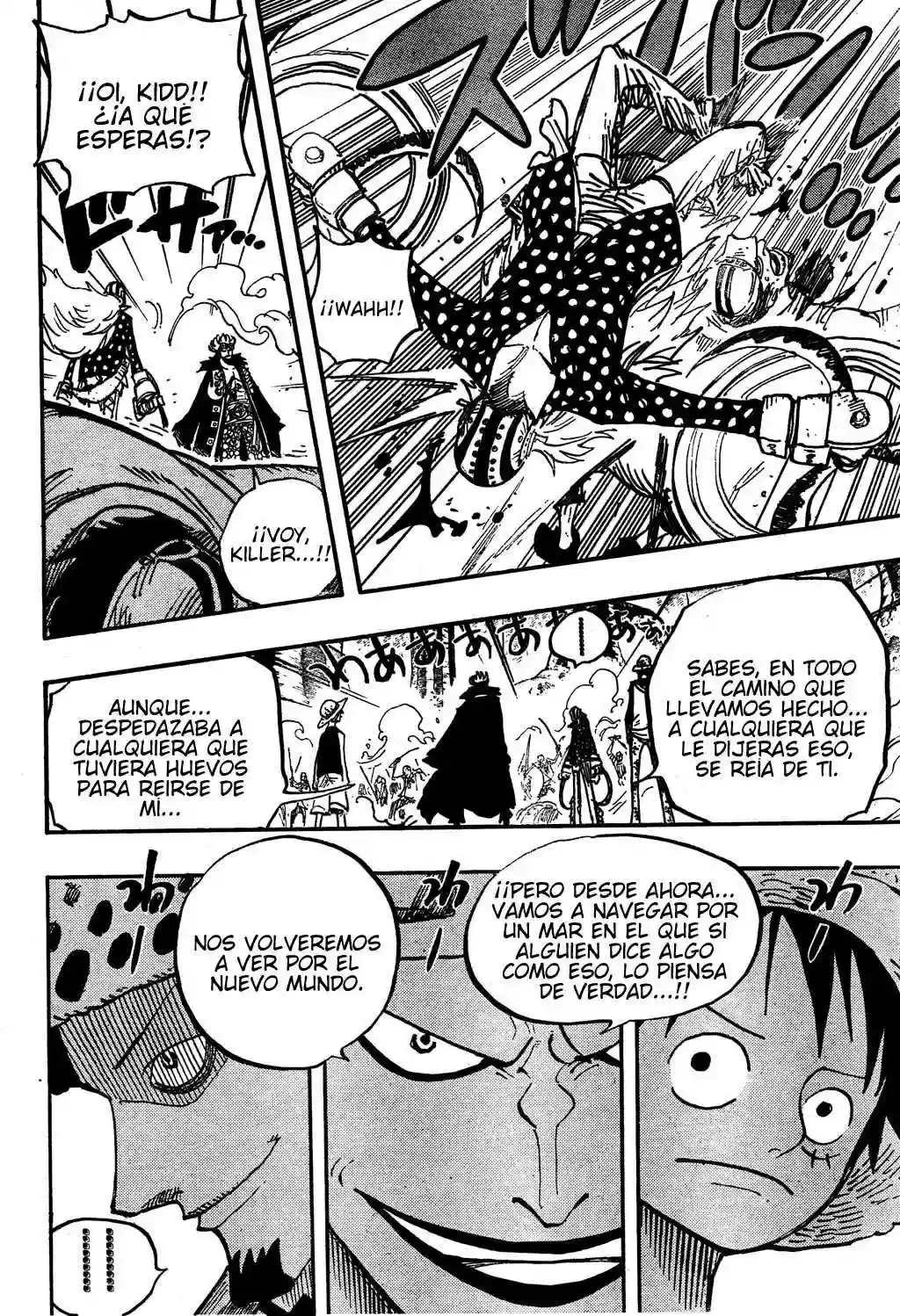 One Piece capítulo 505 página 11