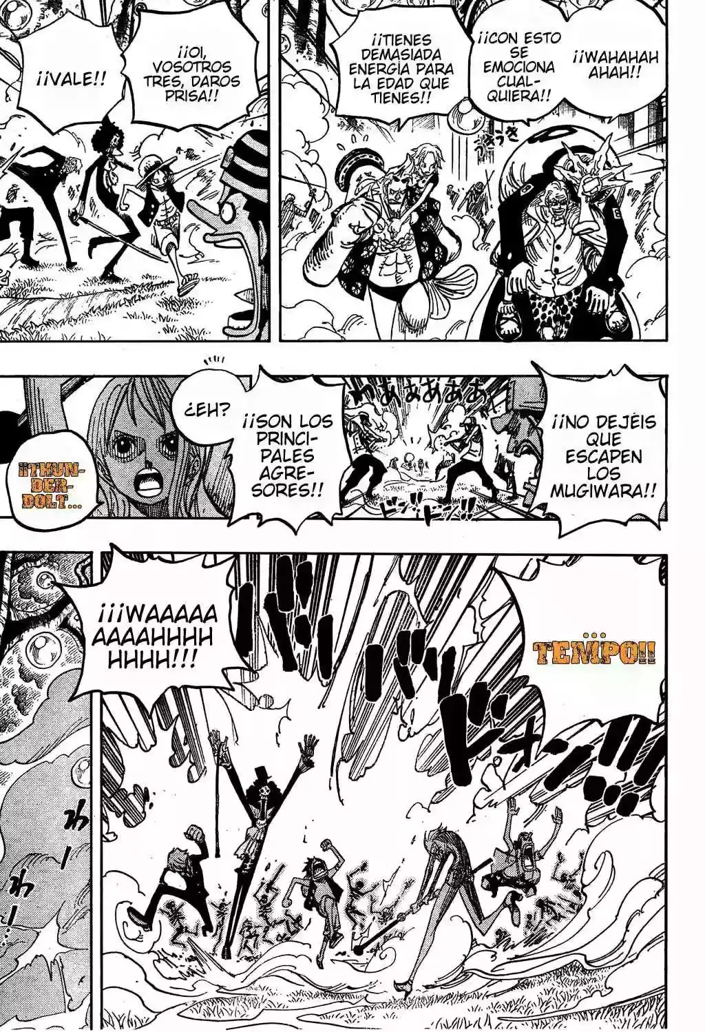 One Piece capítulo 505 página 16