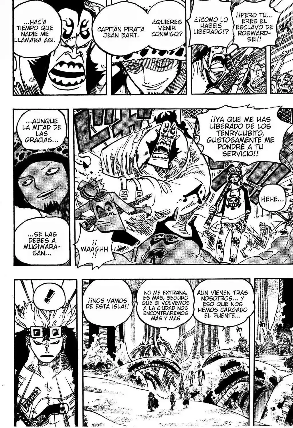 One Piece capítulo 505 página 17