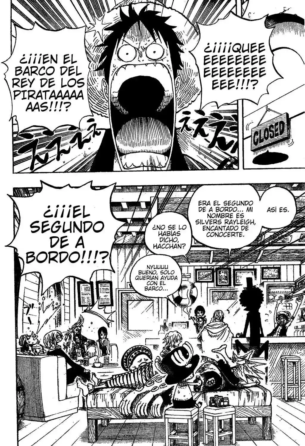 One Piece capítulo 506 página 8