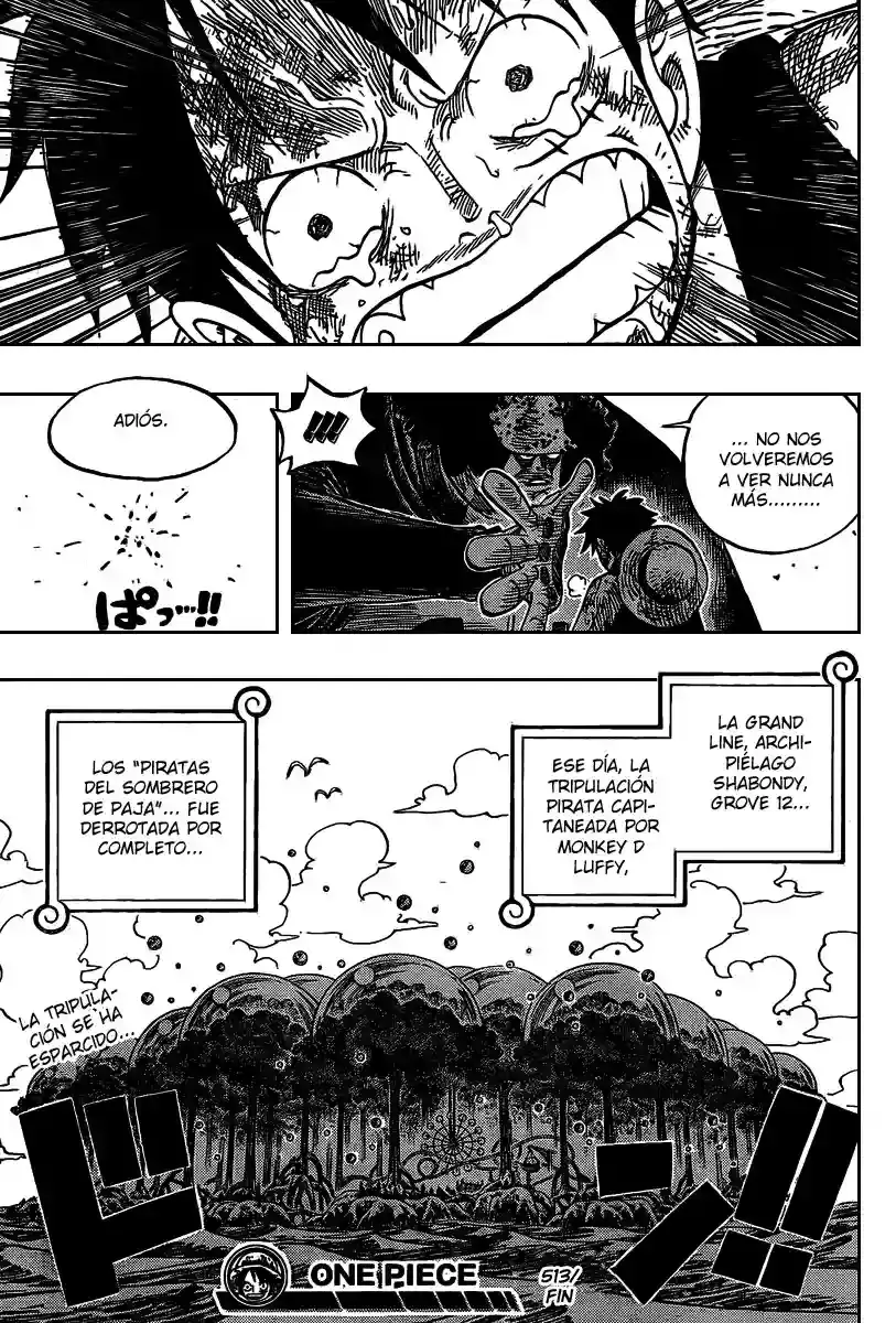 One Piece capítulo 513 página 18