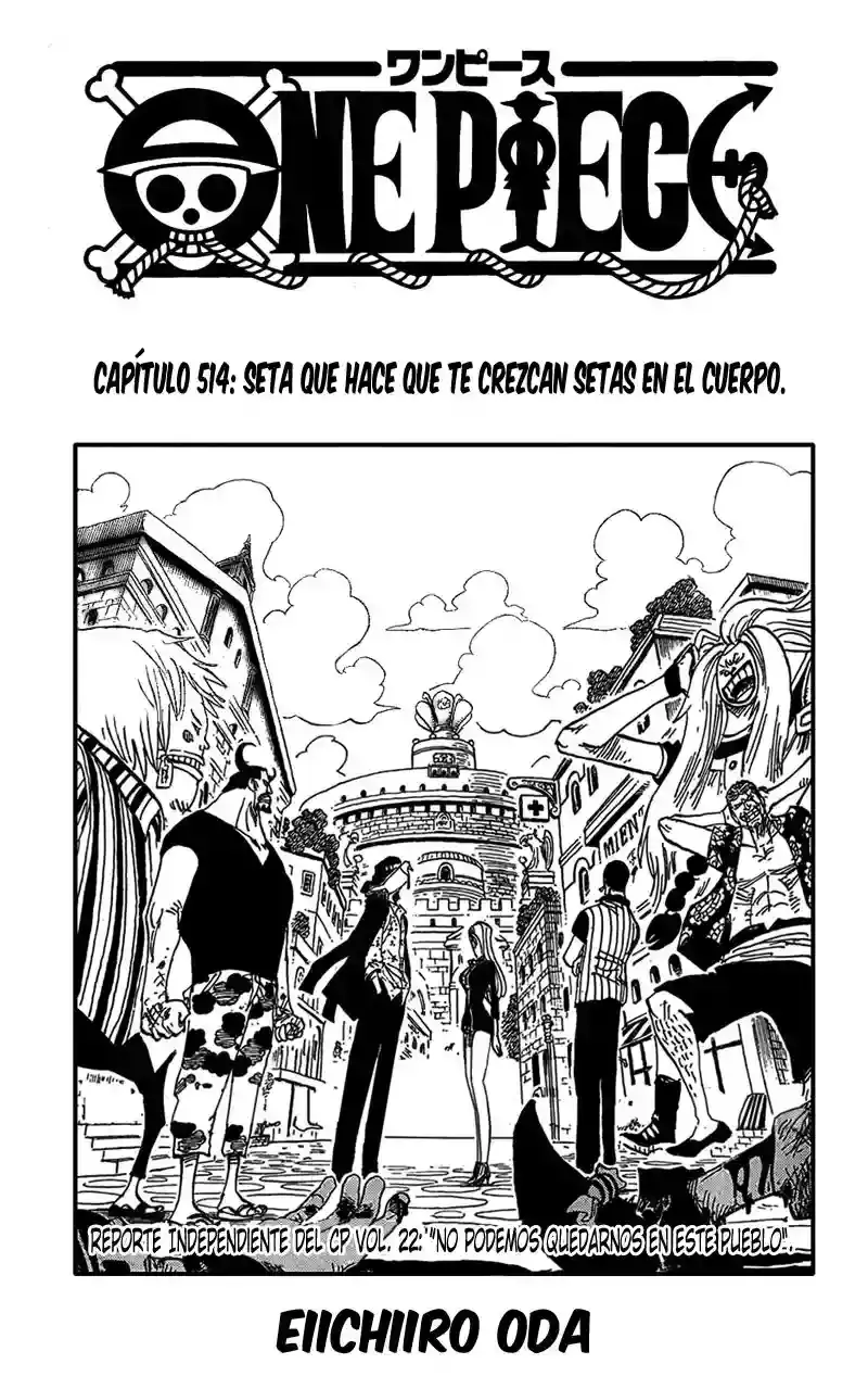 One Piece capítulo 514 página 1
