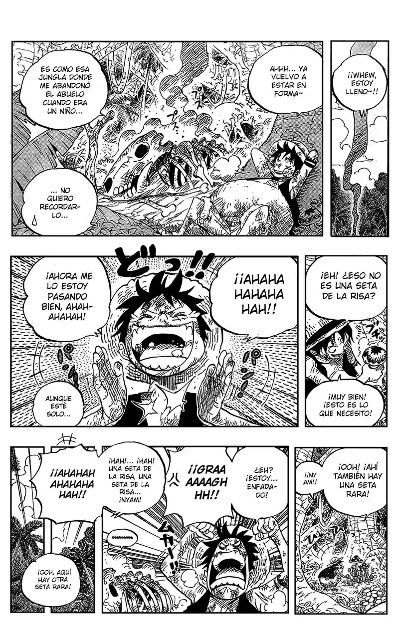 One Piece capítulo 514 página 12