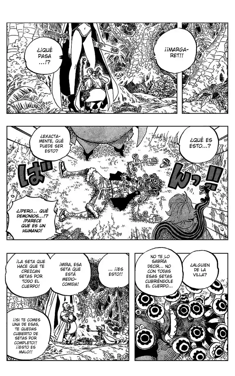 One Piece capítulo 514 página 13