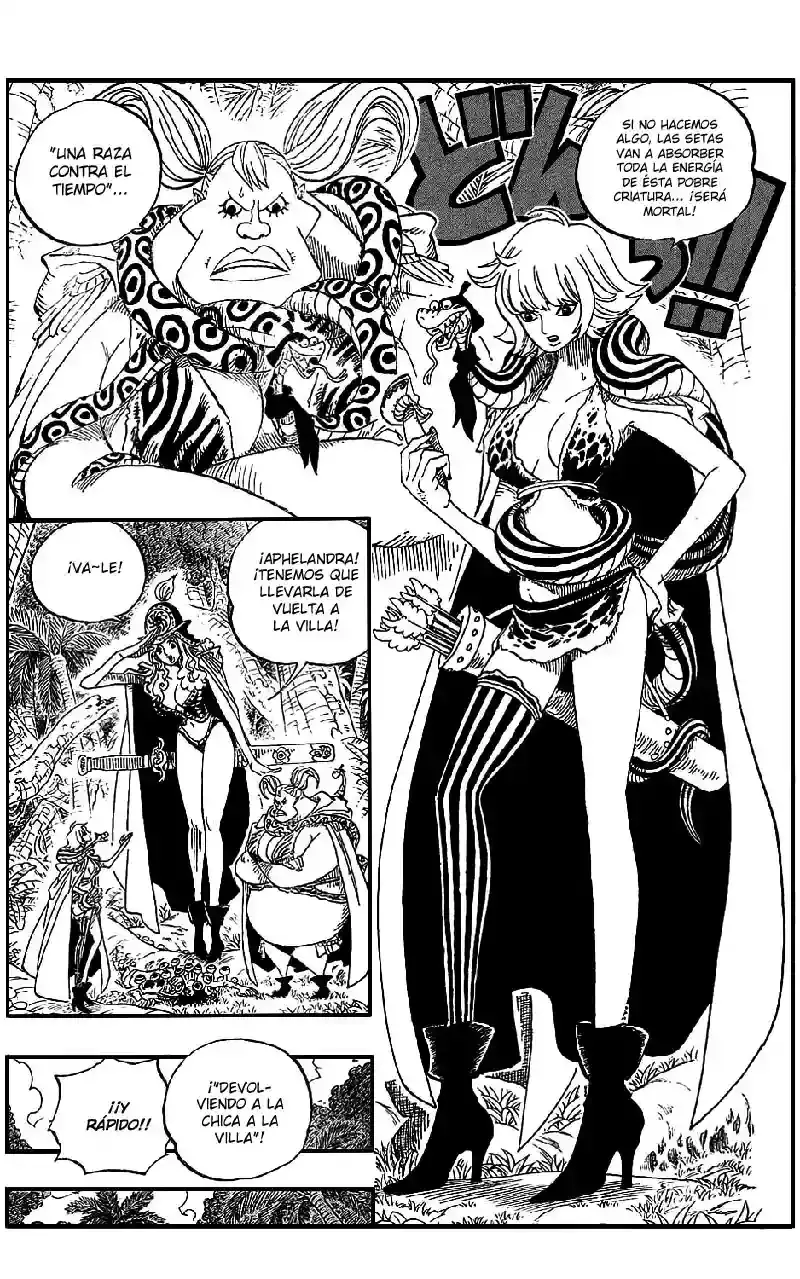 One Piece capítulo 514 página 14
