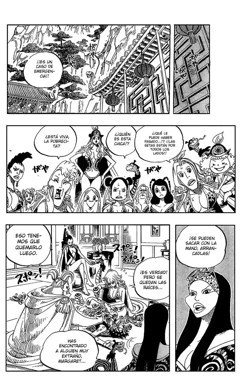 One Piece capítulo 514 página 15