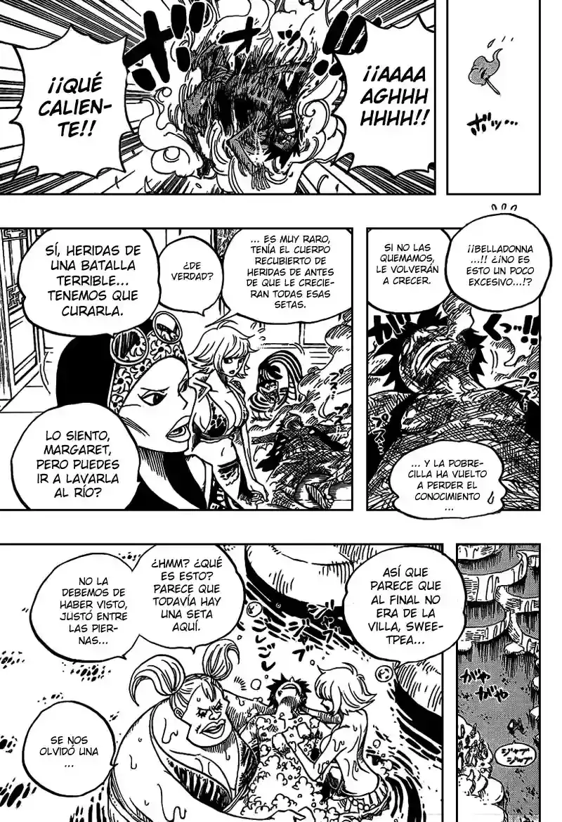 One Piece capítulo 514 página 16