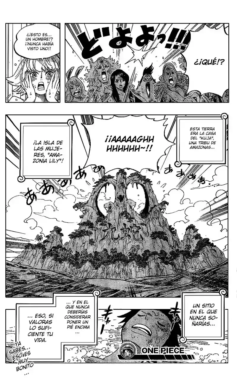 One Piece capítulo 514 página 18