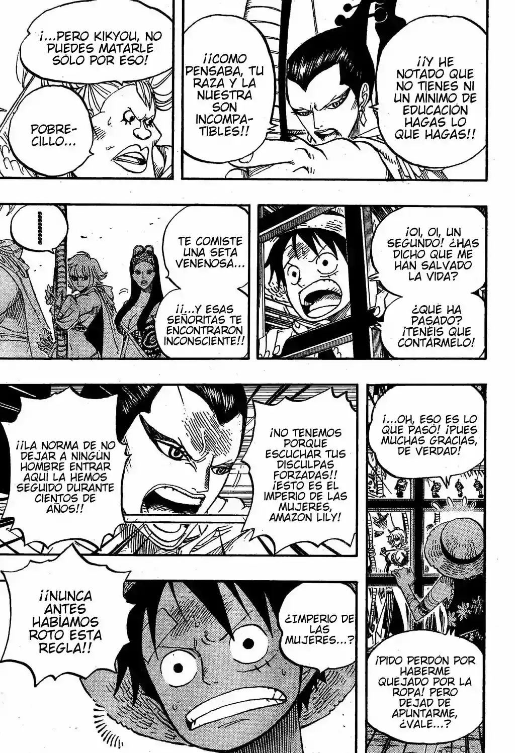 One Piece capítulo 515 página 10