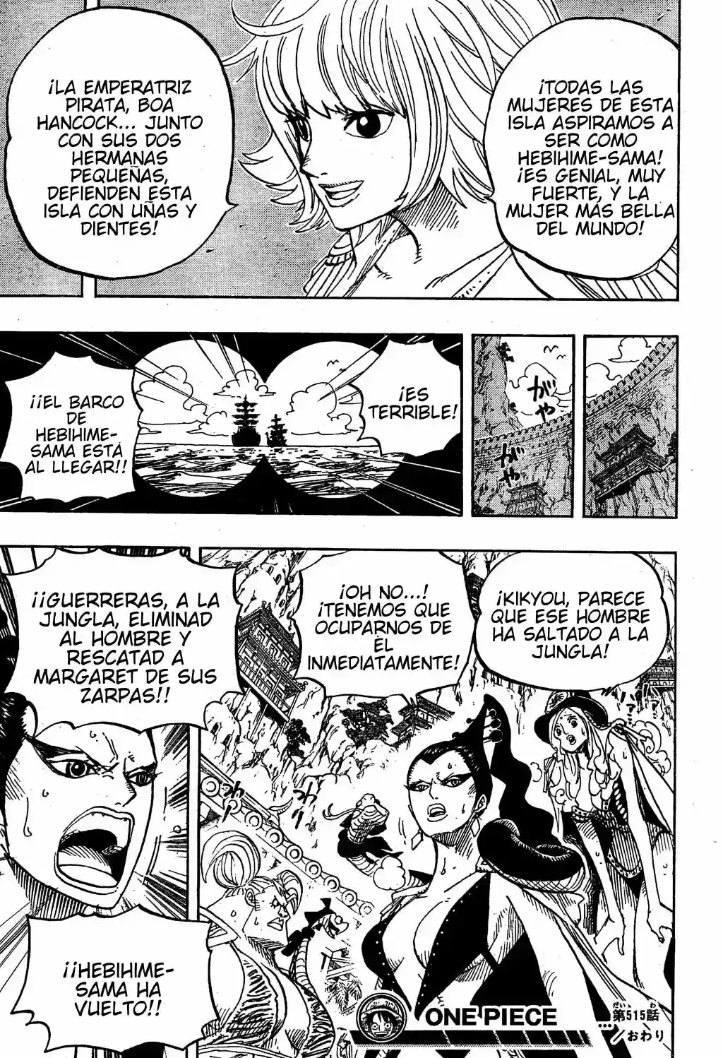 One Piece capítulo 515 página 18