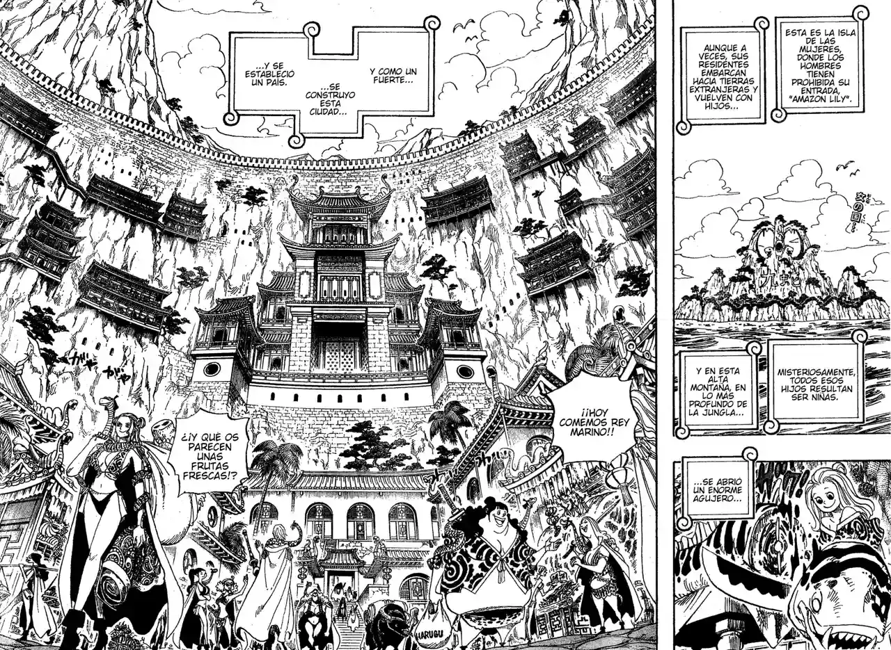 One Piece capítulo 515 página 2