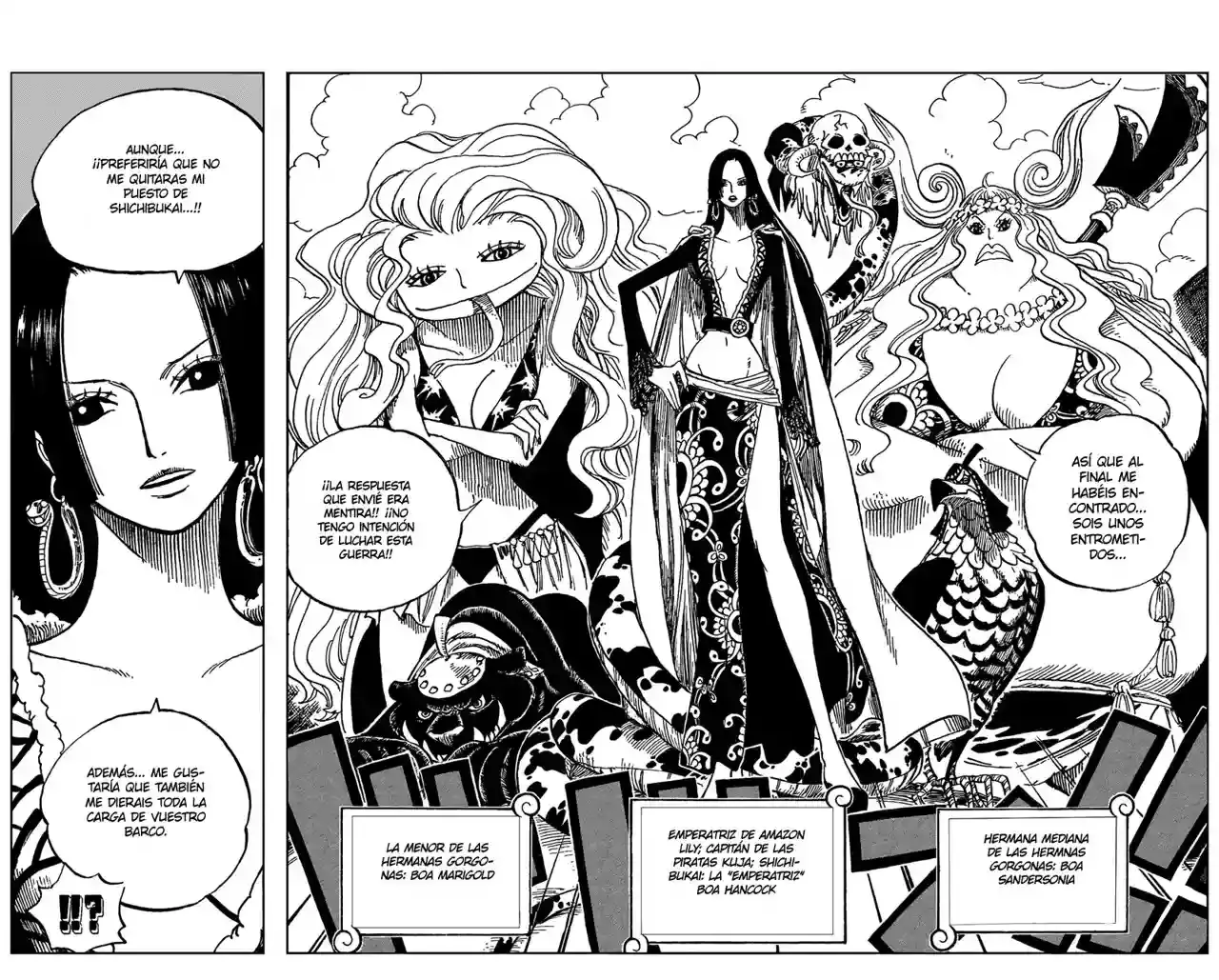 One Piece capítulo 516 página 11