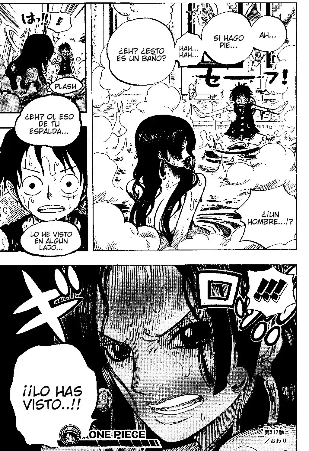 One Piece capítulo 517 página 19