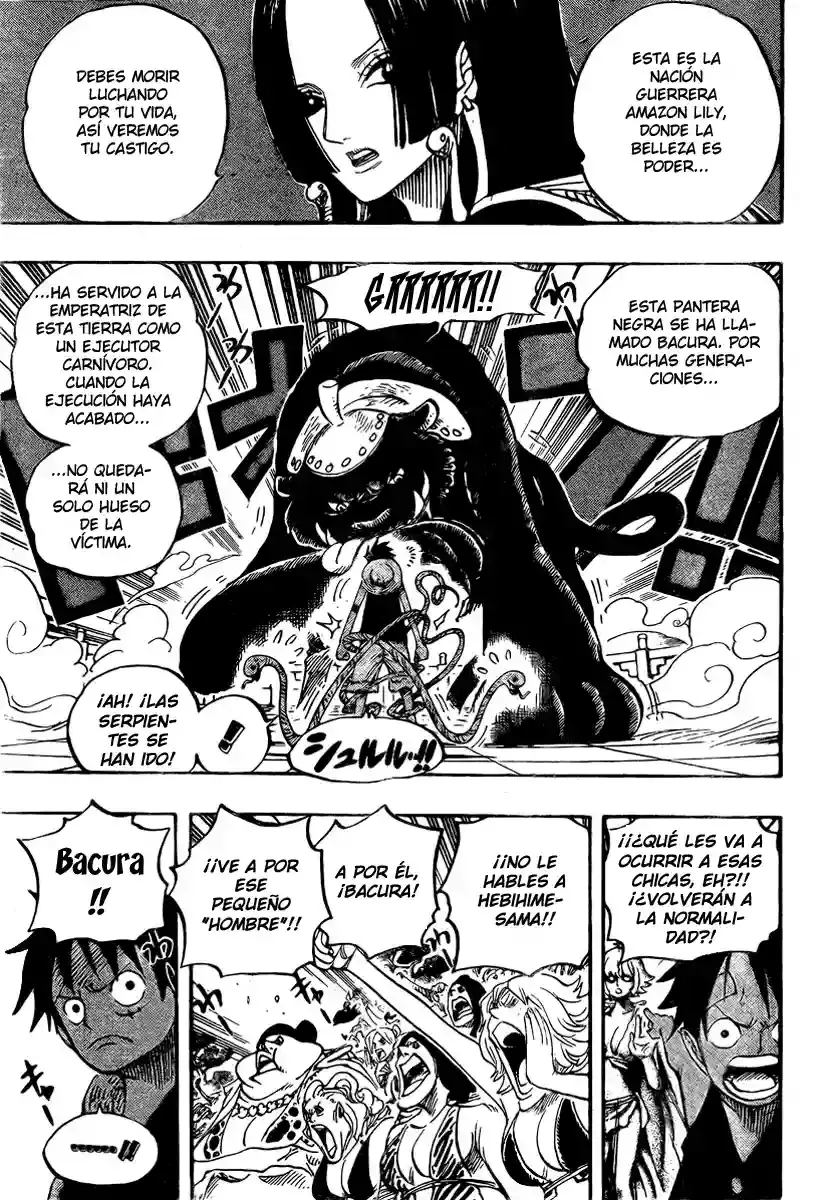 One Piece capítulo 518 página 13