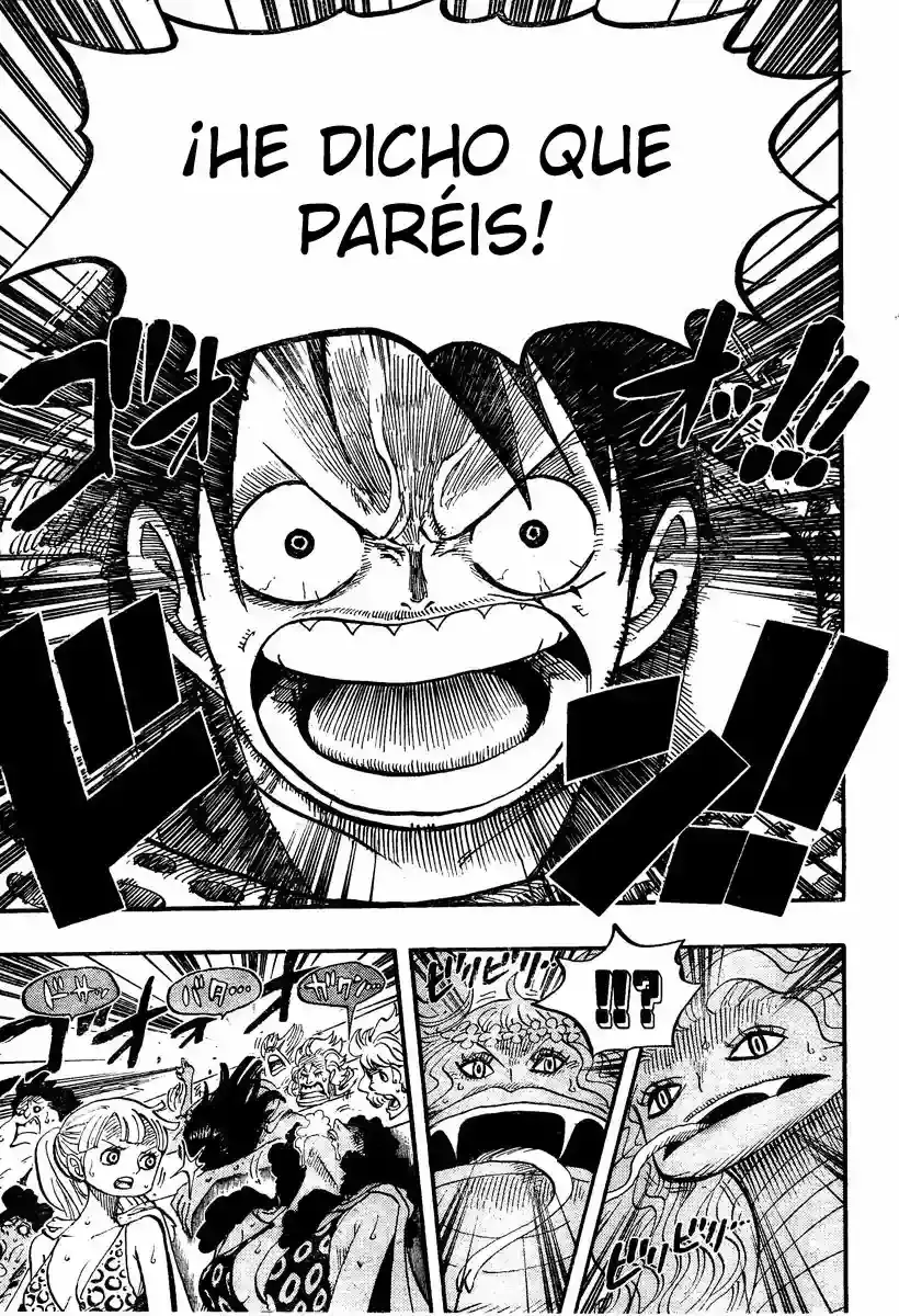 One Piece capítulo 519 página 17