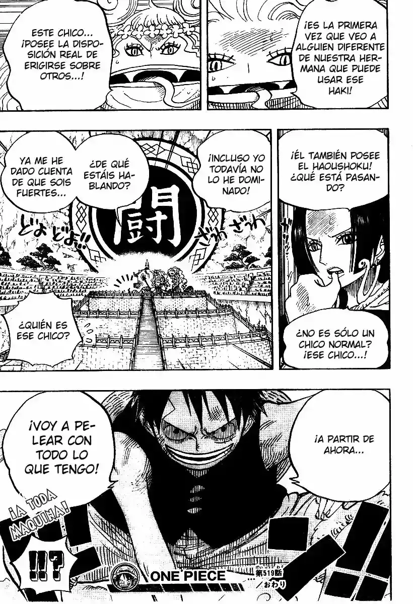 One Piece capítulo 519 página 19