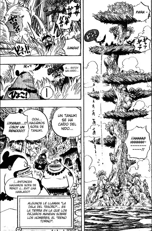 One Piece capítulo 524 página 9
