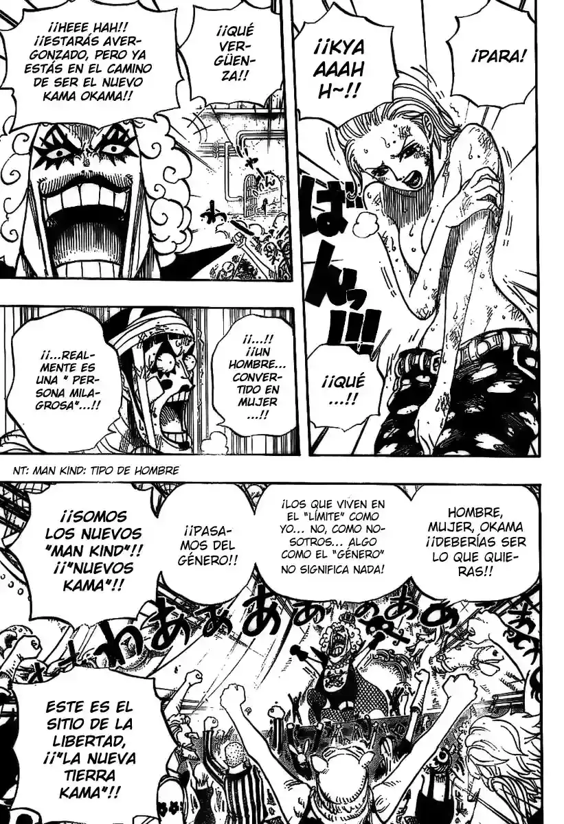 One Piece capítulo 537 página 15