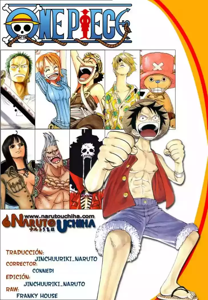 One Piece capítulo 542 página 17
