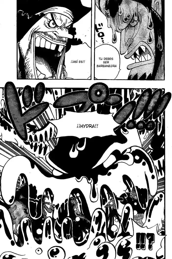 One Piece capítulo 544 página 17