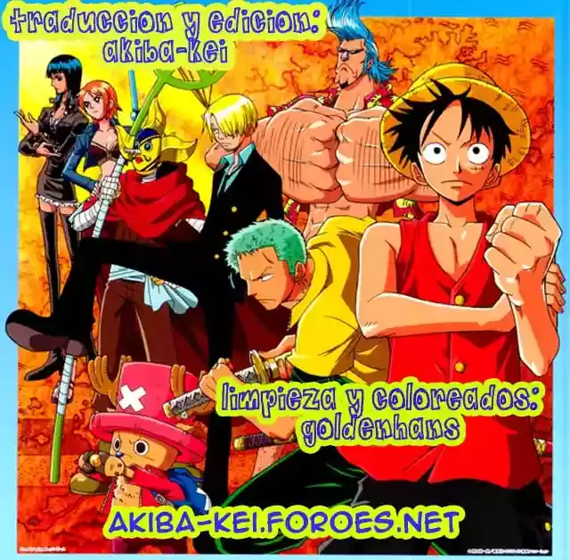 One Piece capítulo 552 página 17