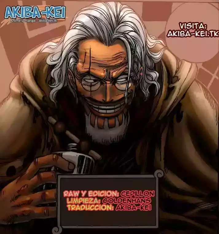 One Piece capítulo 556 página 13