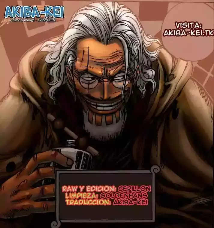 One Piece capítulo 557 página 15