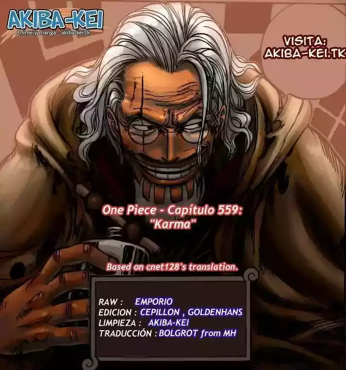 One Piece capítulo 559 página 16