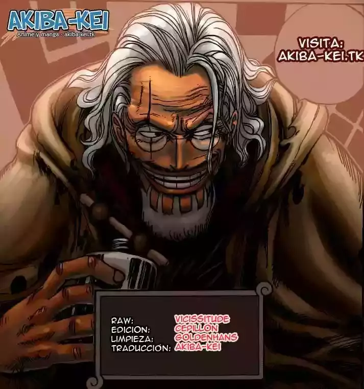 One Piece capítulo 561 página 17