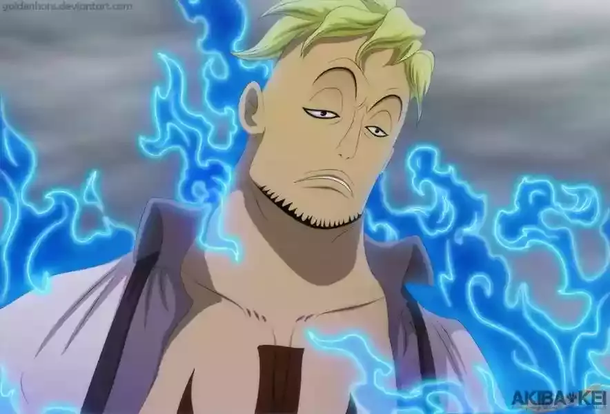 One Piece capítulo 567 página 22