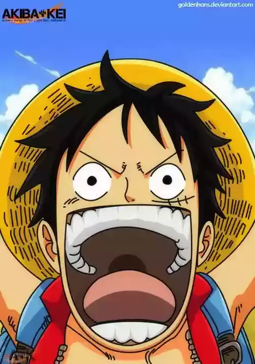 One Piece capítulo 570 página 15