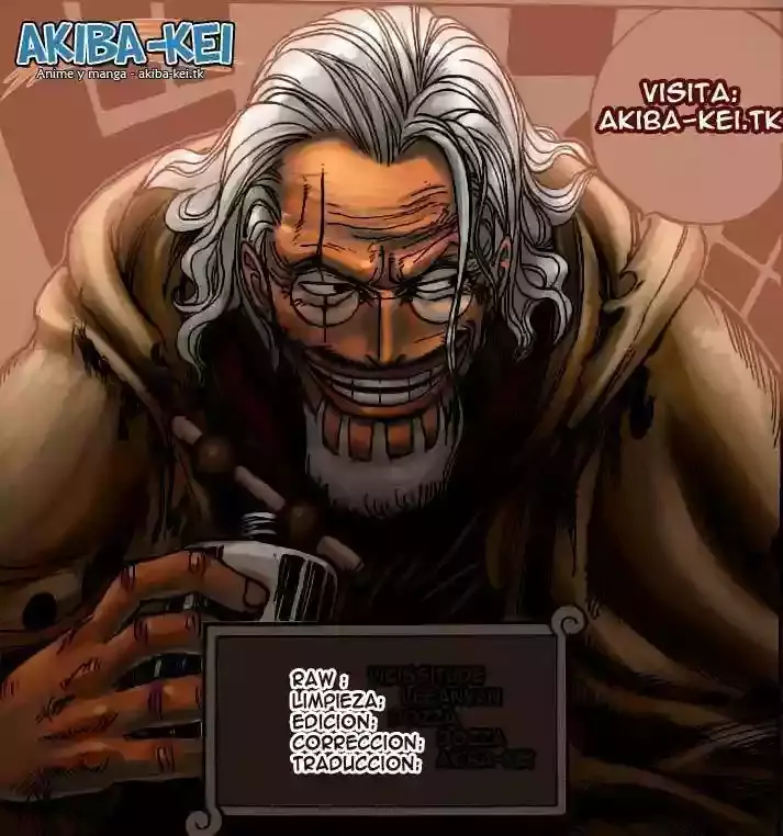 One Piece capítulo 576 página 14