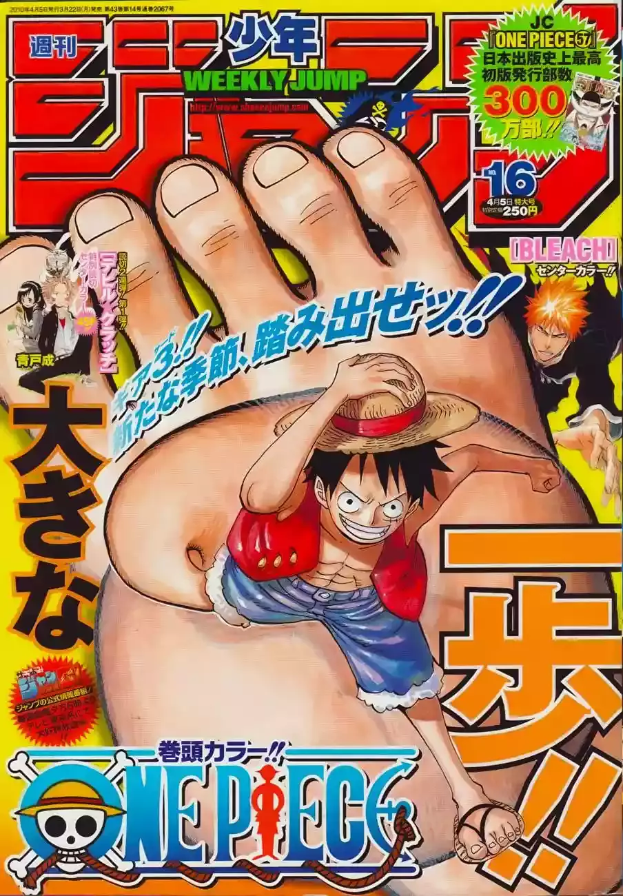 One Piece capítulo 578 página 17