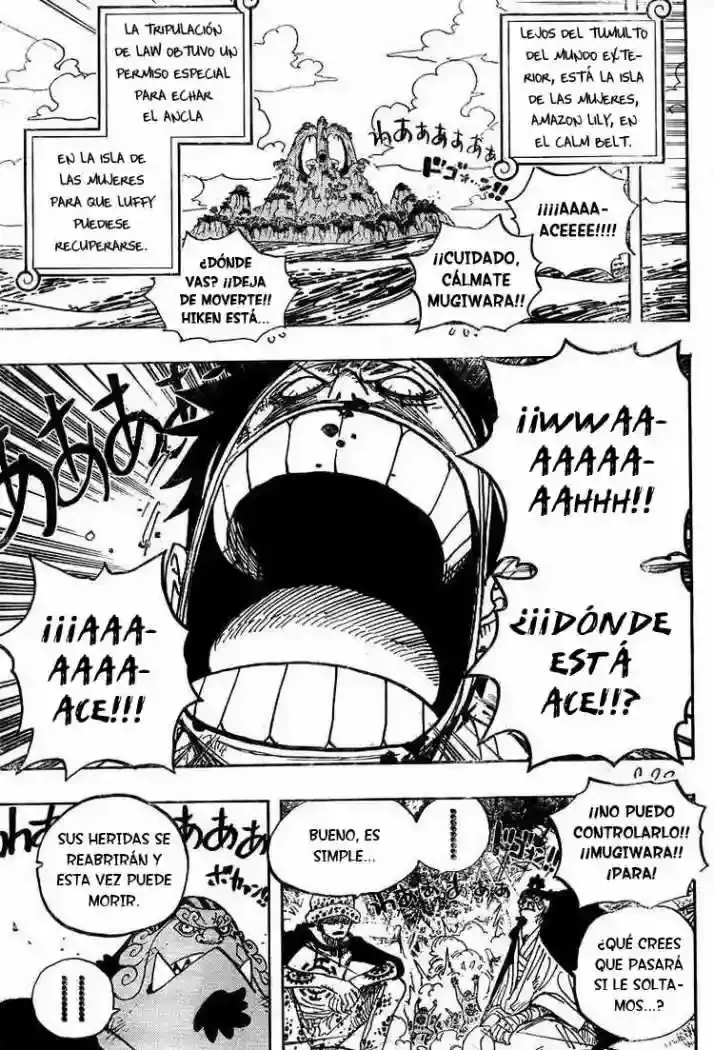 One Piece capítulo 582 página 5