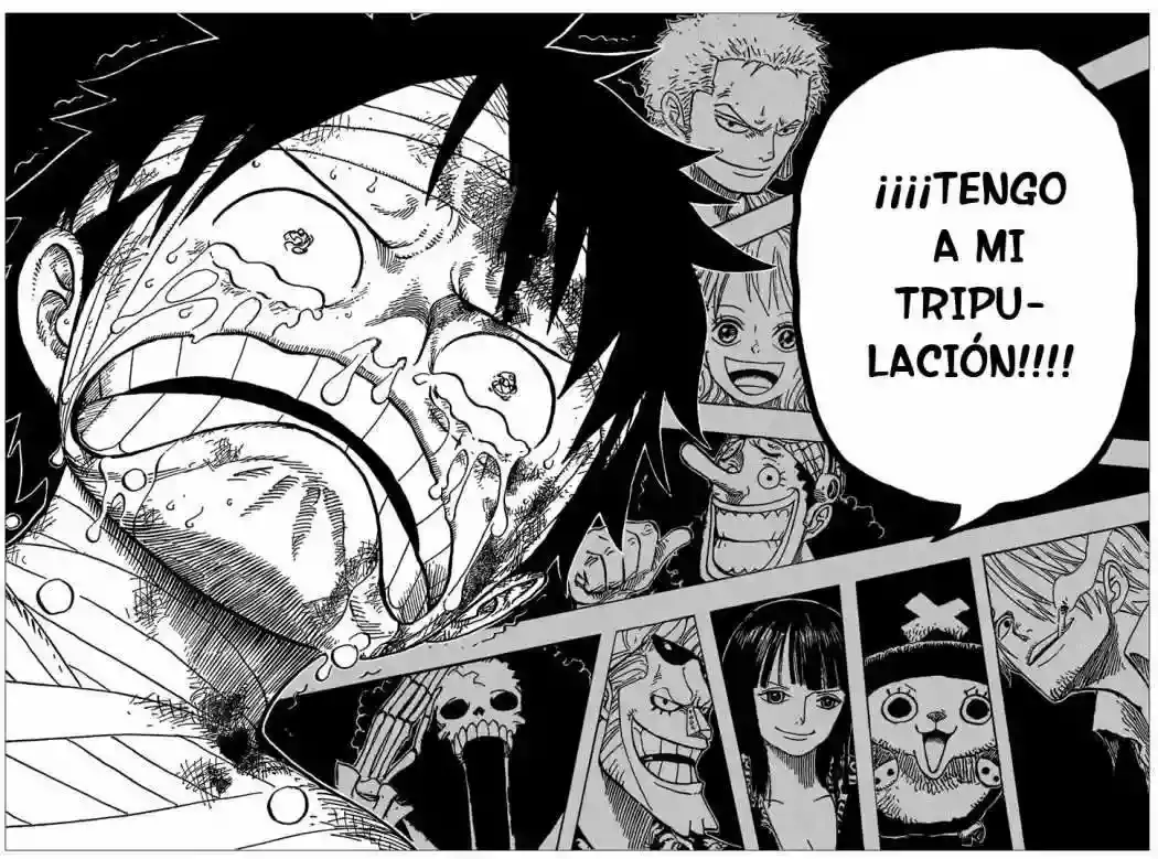 One Piece capítulo 590 página 17