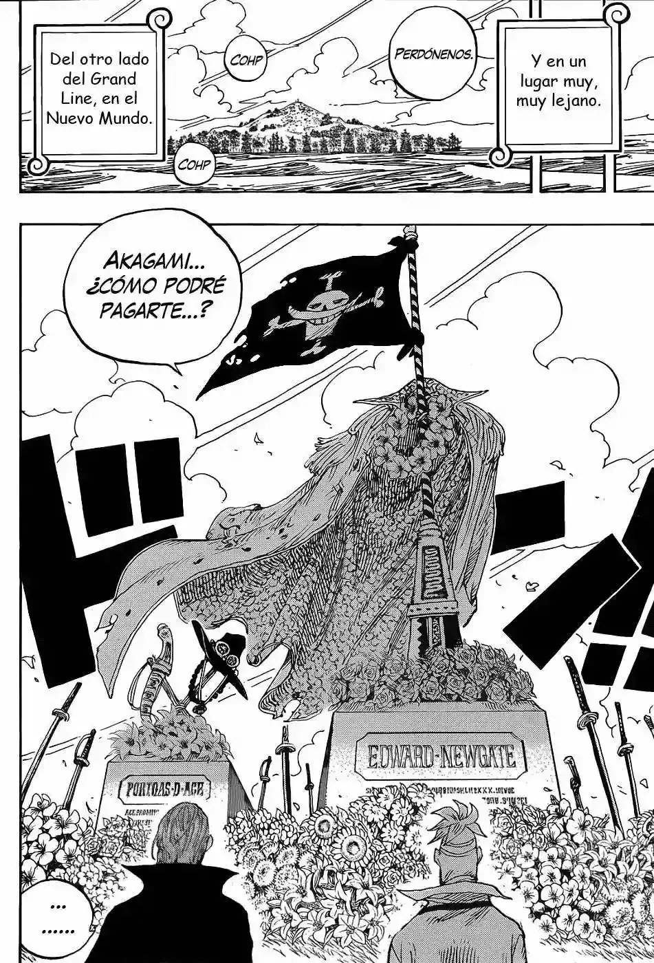 One Piece capítulo 590 página 9