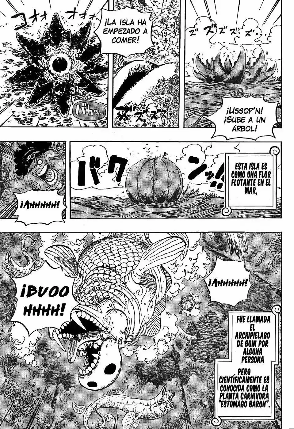 One Piece capítulo 591 página 16