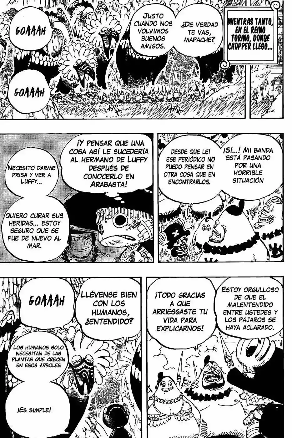 One Piece capítulo 591 página 18